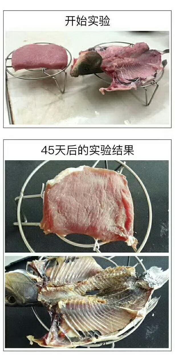 舌尖卫士有效延长肉类保鲜时间