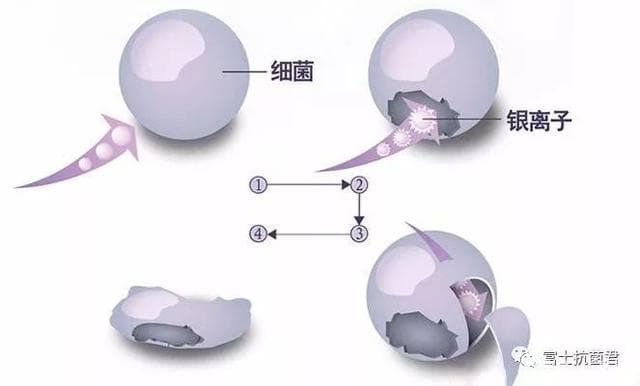 银离子抗菌原理